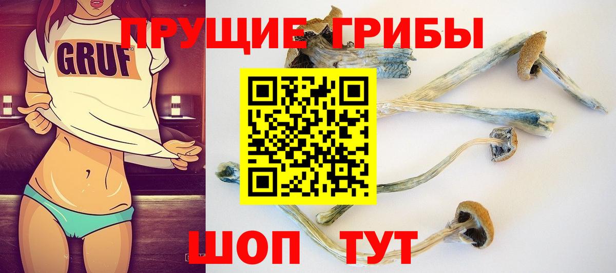 Новый Уренгой  Псилоцибиновые грибы Psilocybine cubensis  Вход с VPN  Галлюциногенные грибы ЛСД 