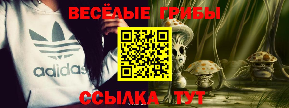 Псилоцибиновые грибы Psilocybe Новый Уренгой