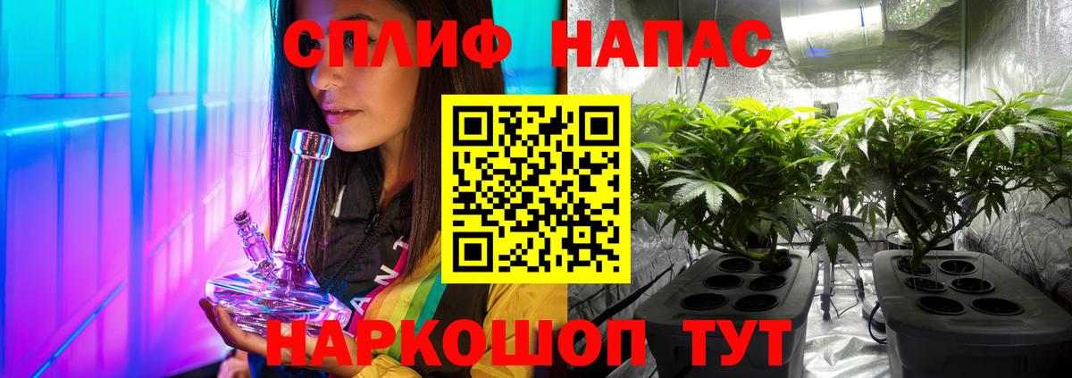 Бошки Шишки MAZAR Новый Уренгой